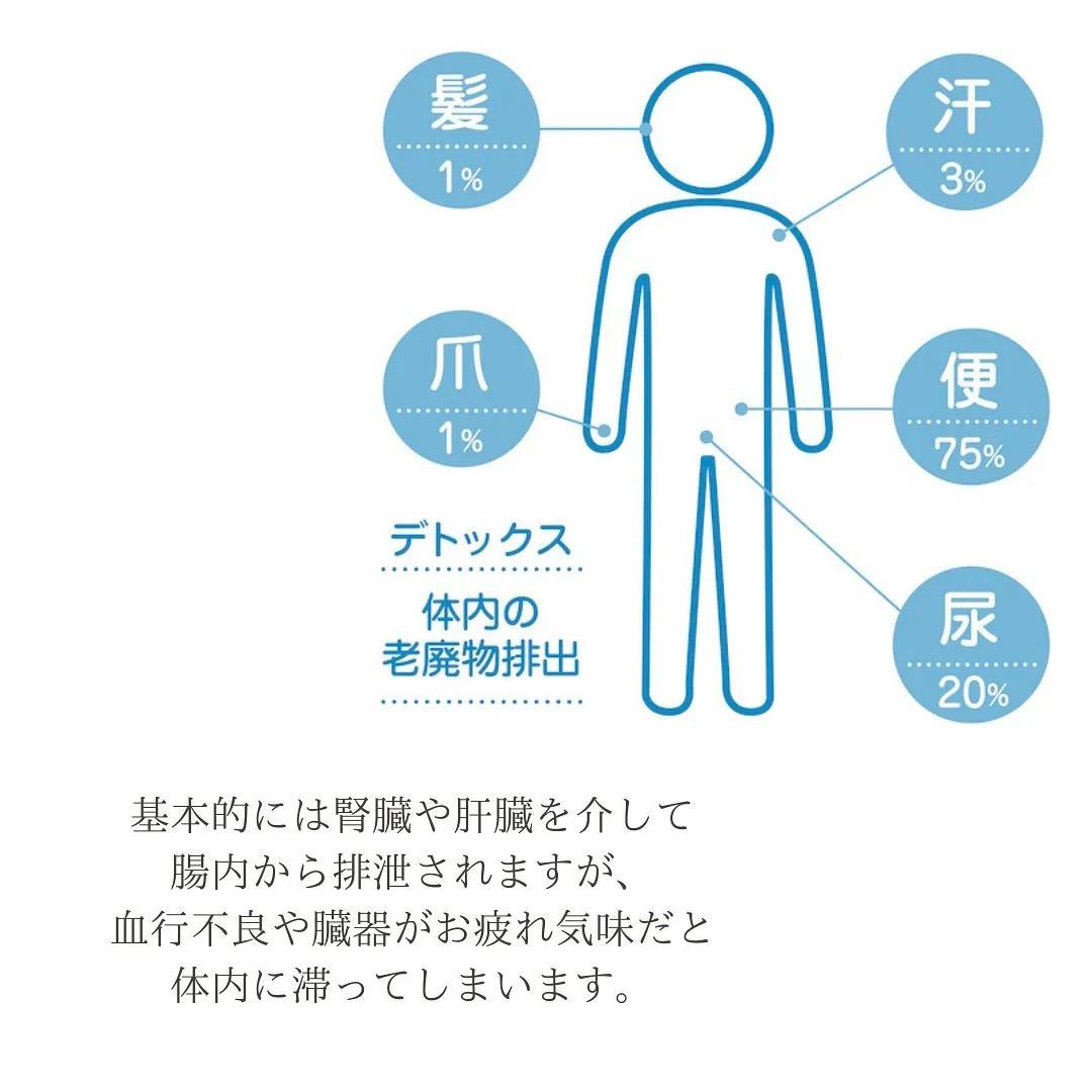 老廃物とは