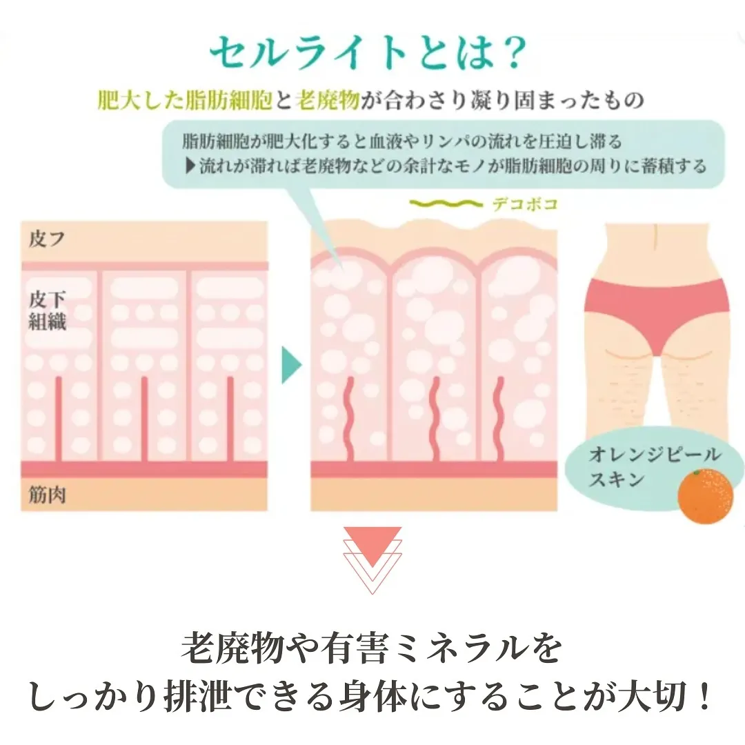 老廃物とは