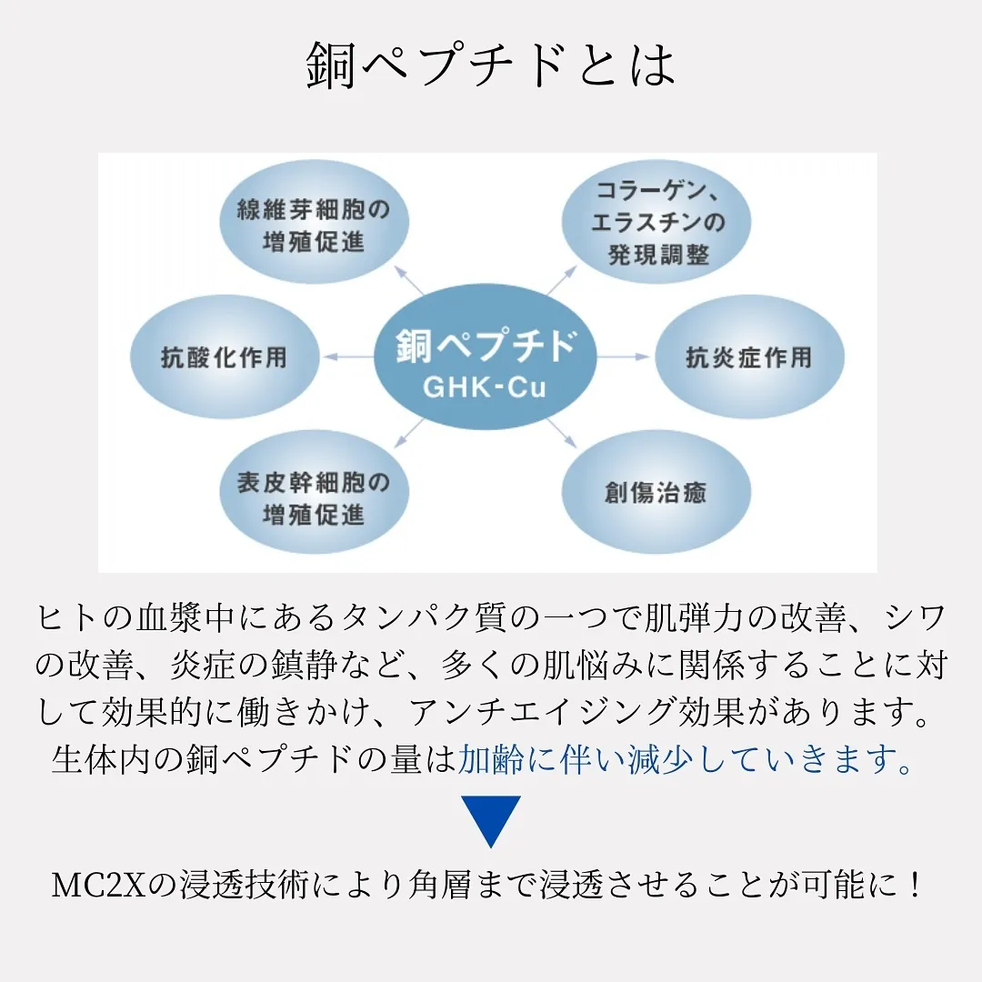 8月のキャンペーン